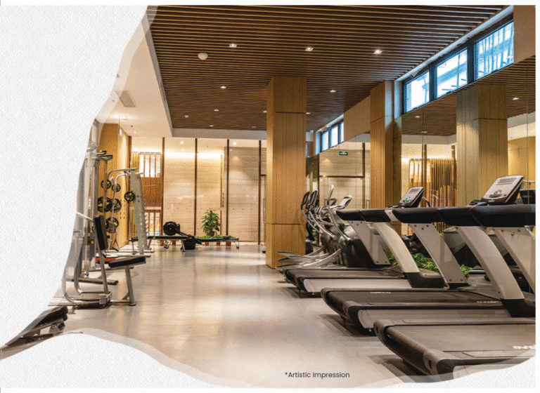 JMS Silver living gym
